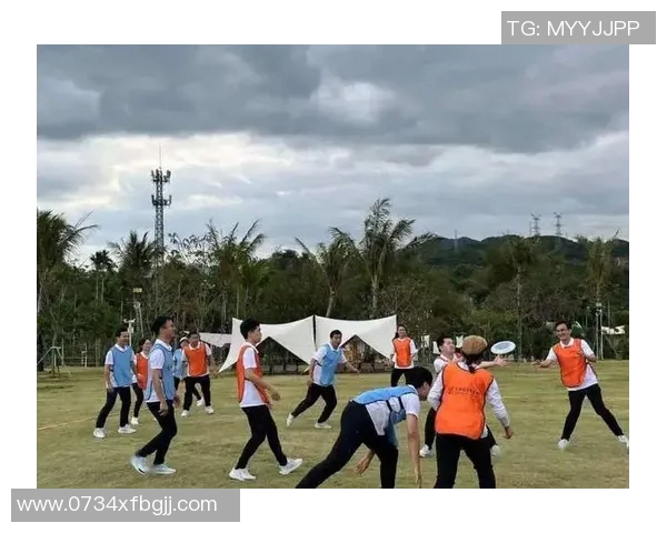 飞盘运动的魅力与挑战：深入探讨北京飞盘队的灵活性与团队协作