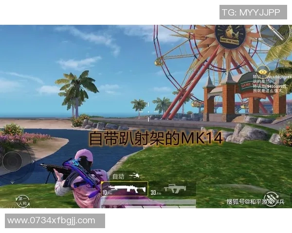 和平精英战术分析：深入探讨RNG在阵地战中的战略布局与执行技巧