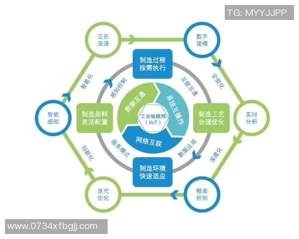 成都极限运动队的意识探讨与发展现状分析及未来展望