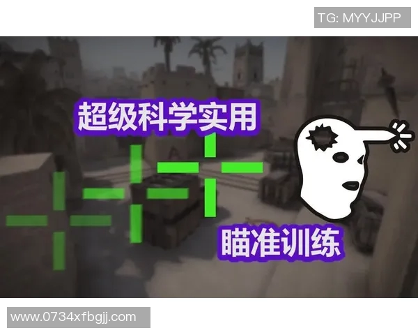 张芳独家揭秘：深入探讨CSGO游戏技巧与心得分享