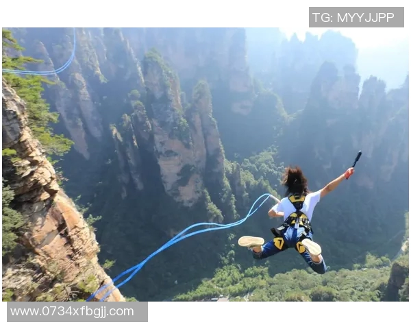 极限运动的挑战与激情杨静分享她的非凡人生旅程