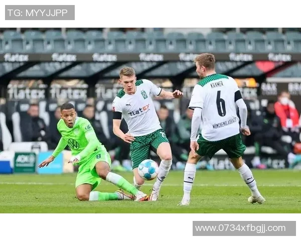 沃尔夫斯堡与门兴对决因突发事件中断球迷反应热烈