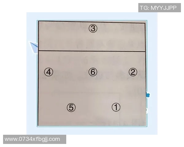 上海排球队中路突破分析与战术调整的得失总结