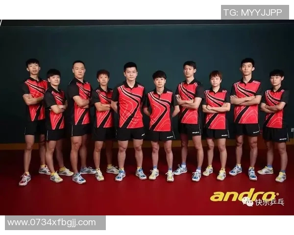 南京乒乓球队技术分析与发展探讨聚焦乒乓球运动的未来趋势与挑战